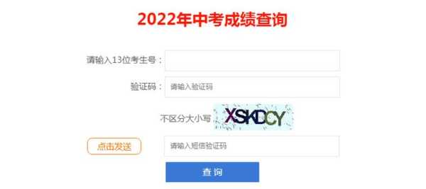 2023计算机考试成绩查询入口 2023实验中考成绩怎么查询？