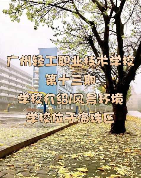 广东轻工职业技术学校 广东轻工职业技术学院属于哪一类？