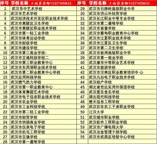 武汉大专公办学校排名 武汉计算机专科学校排名？