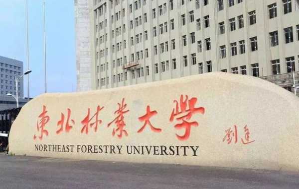 东北林业大学排名（东北农业大学和东北林业大学哪个更好？）