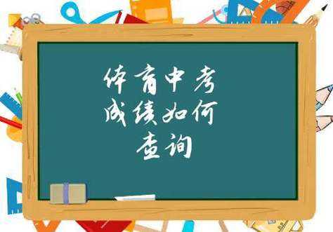 上海中考成绩查询，上海中考体测成绩怎么查？