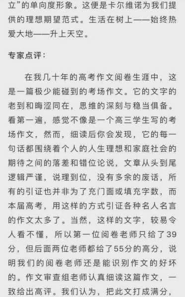 高考满分作文大全，丰盈自我心怀山河高考满分作文？