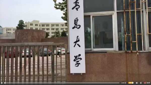 为什么都不建议上青岛大学？青岛大学是几本啊？