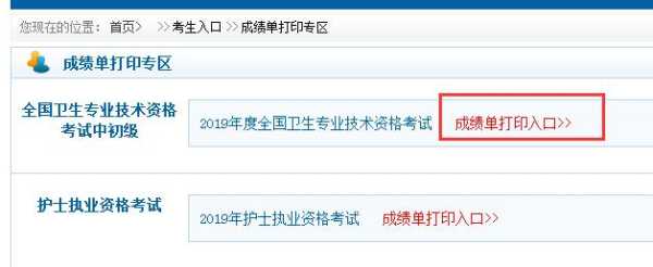 中国卫生人才网成绩单打印（中国卫生人才网成绩单打印2023）