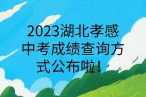 湖北省教育考试院官网成绩查询（湖北省教育考试院官网成绩查询2023中考）