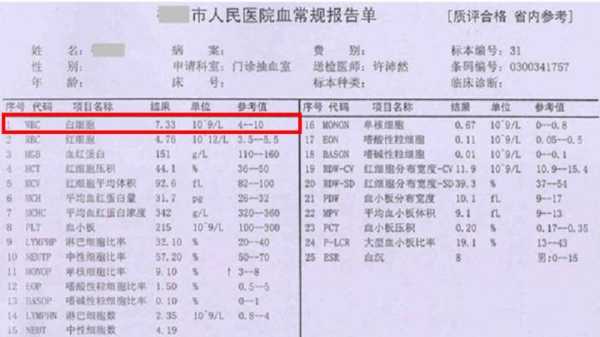 自查报告格式 广州健康通个人的检查报告无法打开？
