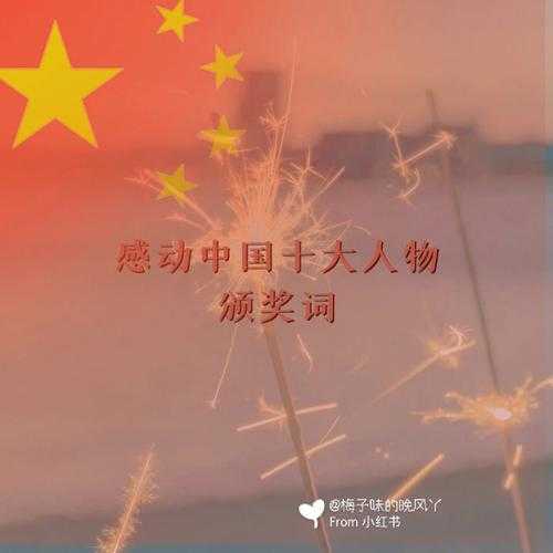 中国名人 关于爱国的感动中国十大人物？