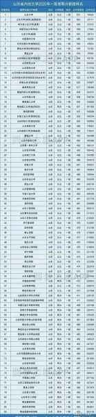 2013中国大学排行榜 2002年山东省高校排名？