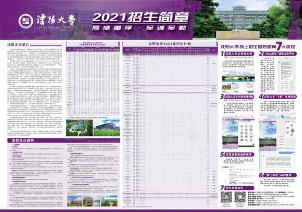 沈阳大学录取查询，沈阳大学招生章程2021？