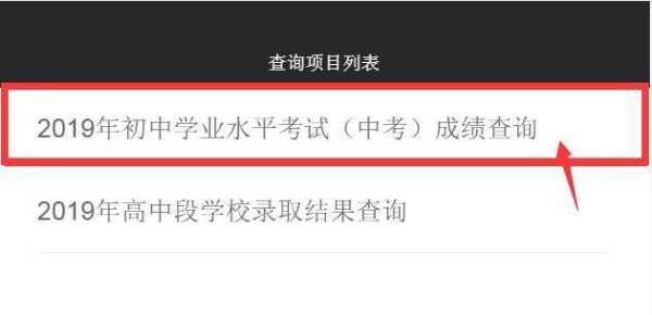 查中考分数线怎么查询（怎样查询中考分数线）