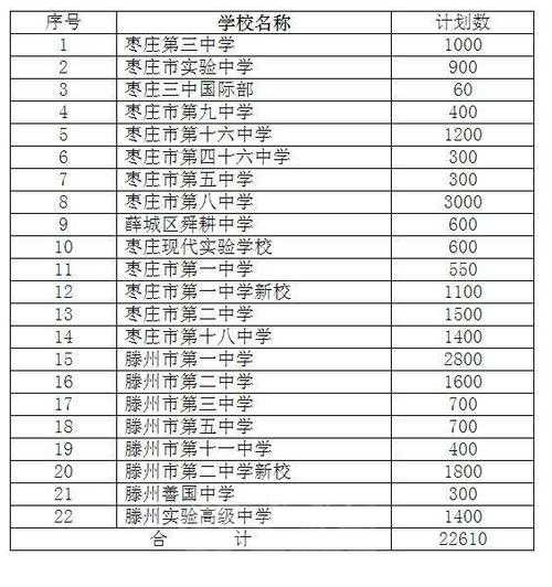 枣庄实验中学春考分数线（枣庄实验高中2020年高考成绩）