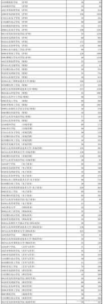 山东春考学校以及分数线（山东春考学校分数线2022）