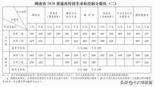 湖南副高历年综合分数线（2020年湖南省副高综合成绩分数线）